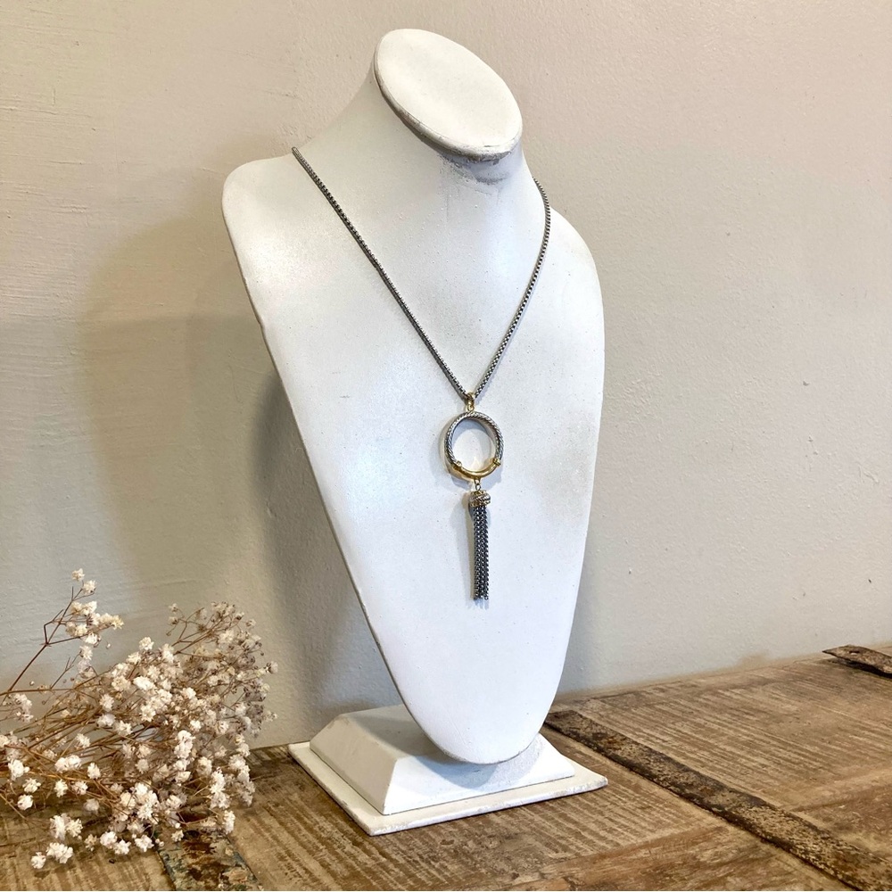 Long Silver and Gold Tone Tassel Pendant Necklace - Picture 2 of 15